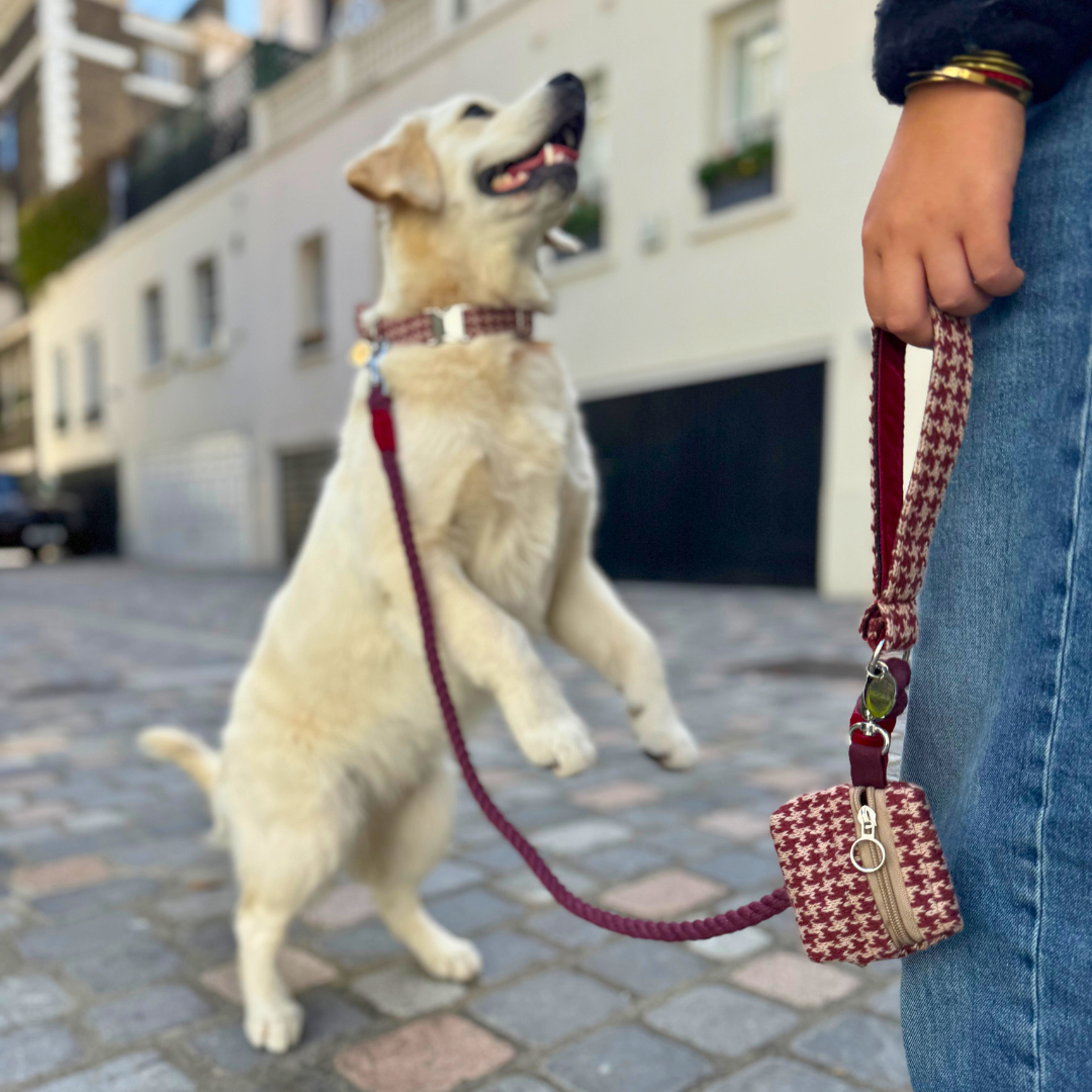 Knightsbridge - Houndstooth '25 Collection - Puppy Pack