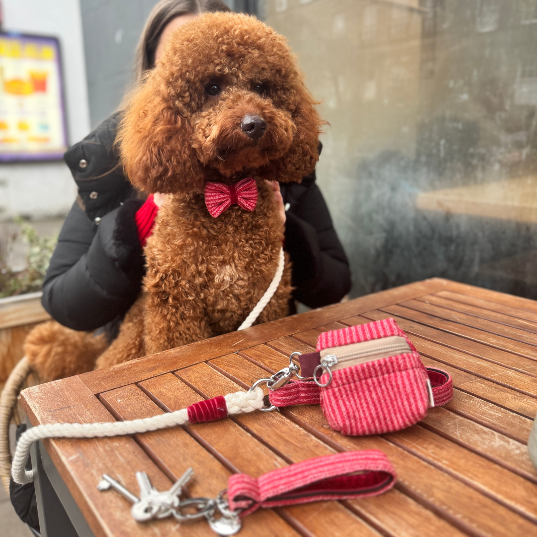 A Bond Like No Other - Dog Bow Tie