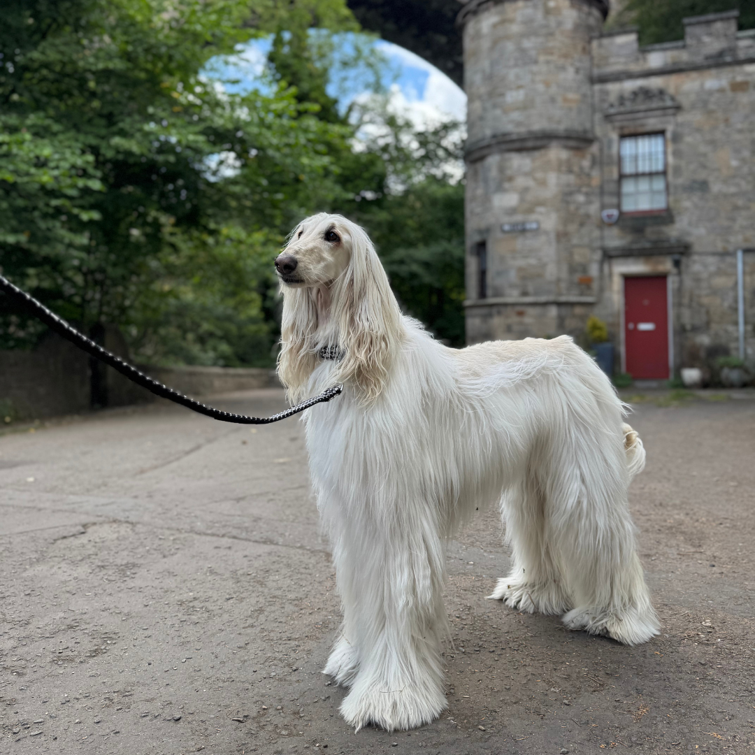 Soho - Bespoke Gift Hamper