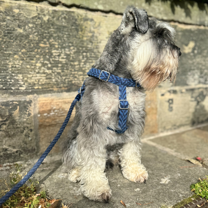 Cobalt - Luxury Dog Harness