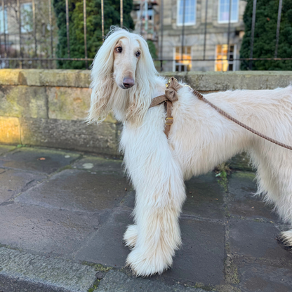 Cocoon - Bespoke Gift Hamper