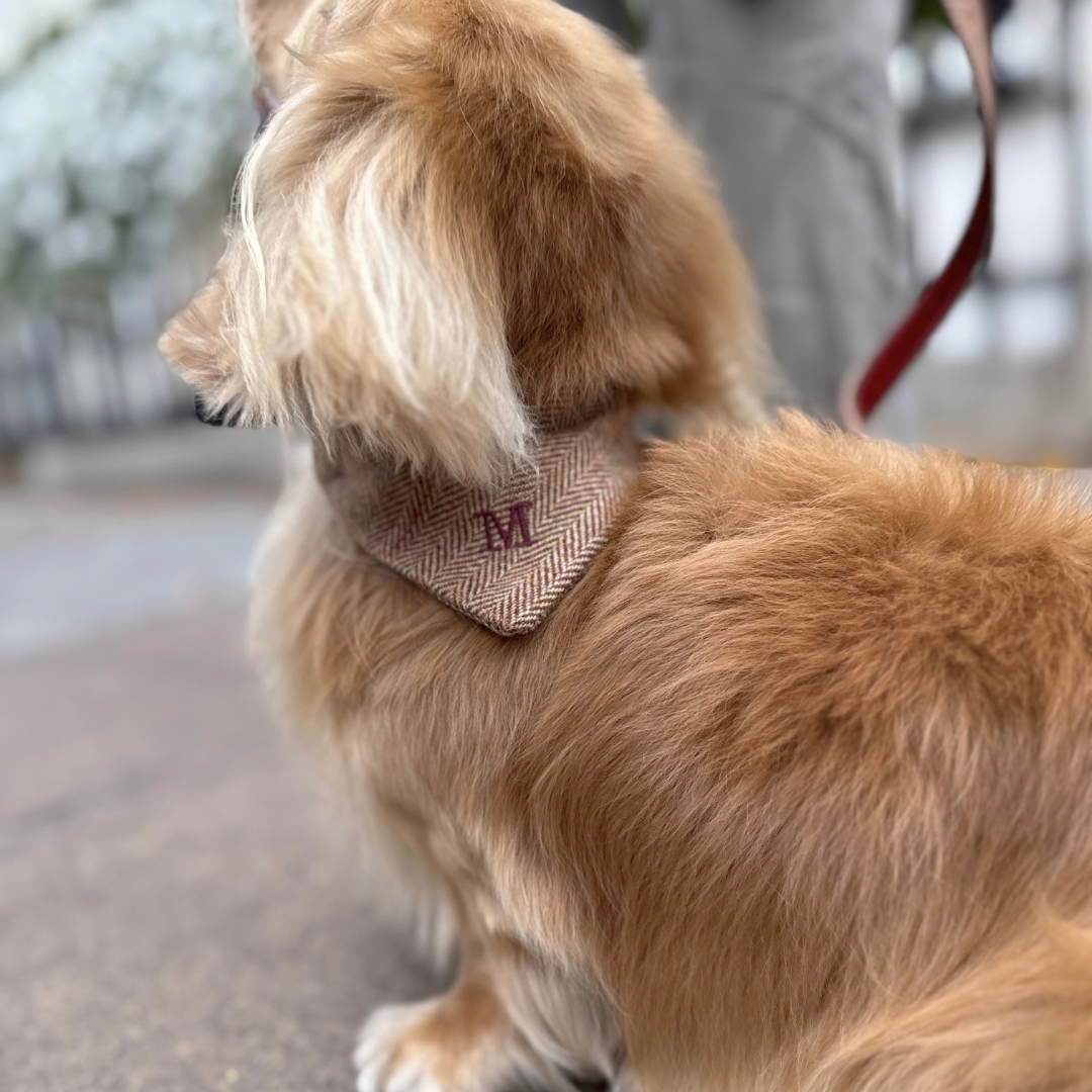 The Tummel Design - Dog Bandana - Glenlyon Collection