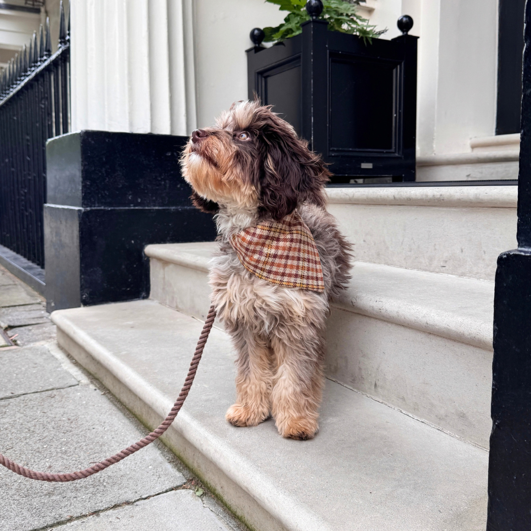 The Atholl Design - Dog Bandana - Glenlyon Collection