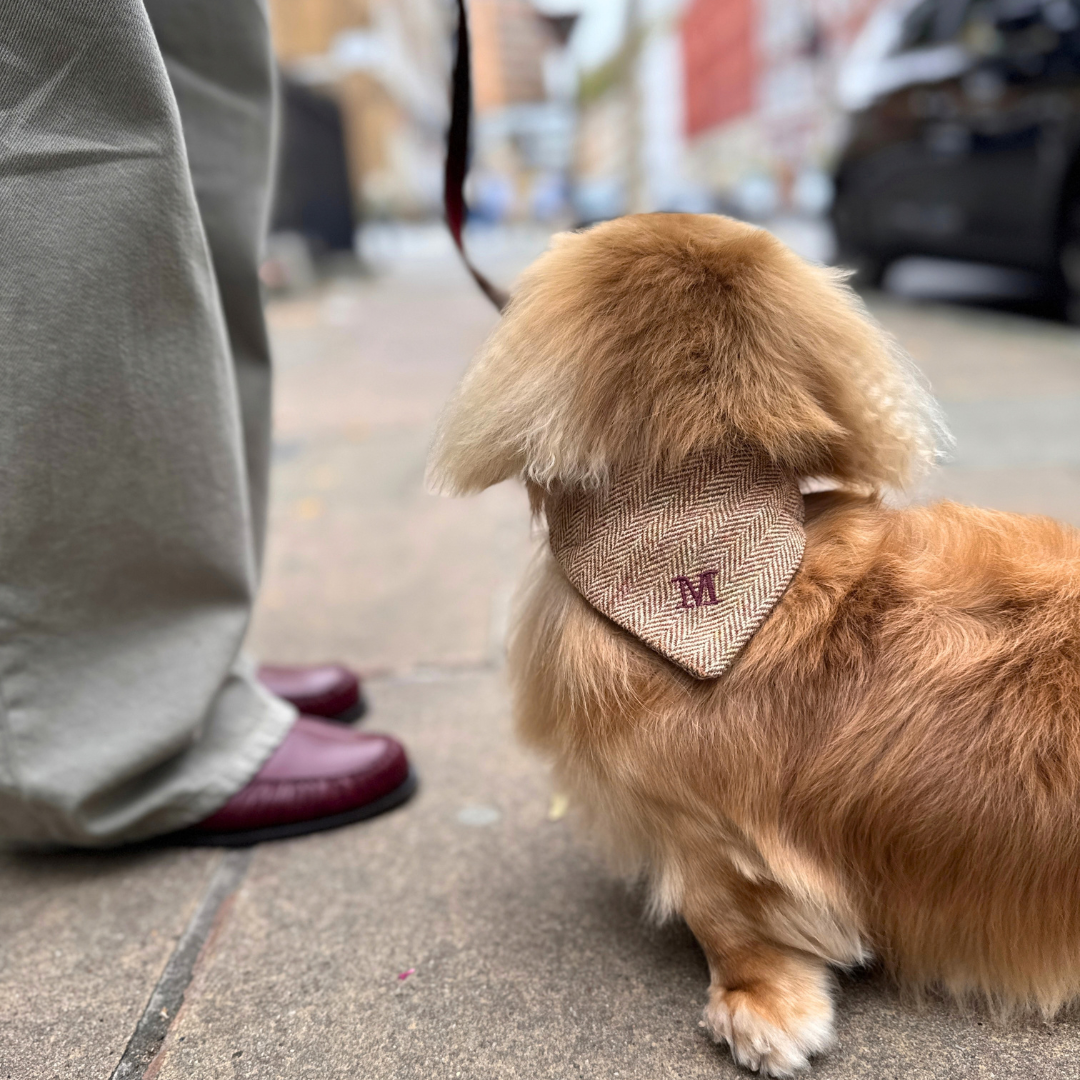 The Tummel Design - Dog Bandana - Glenlyon Collection