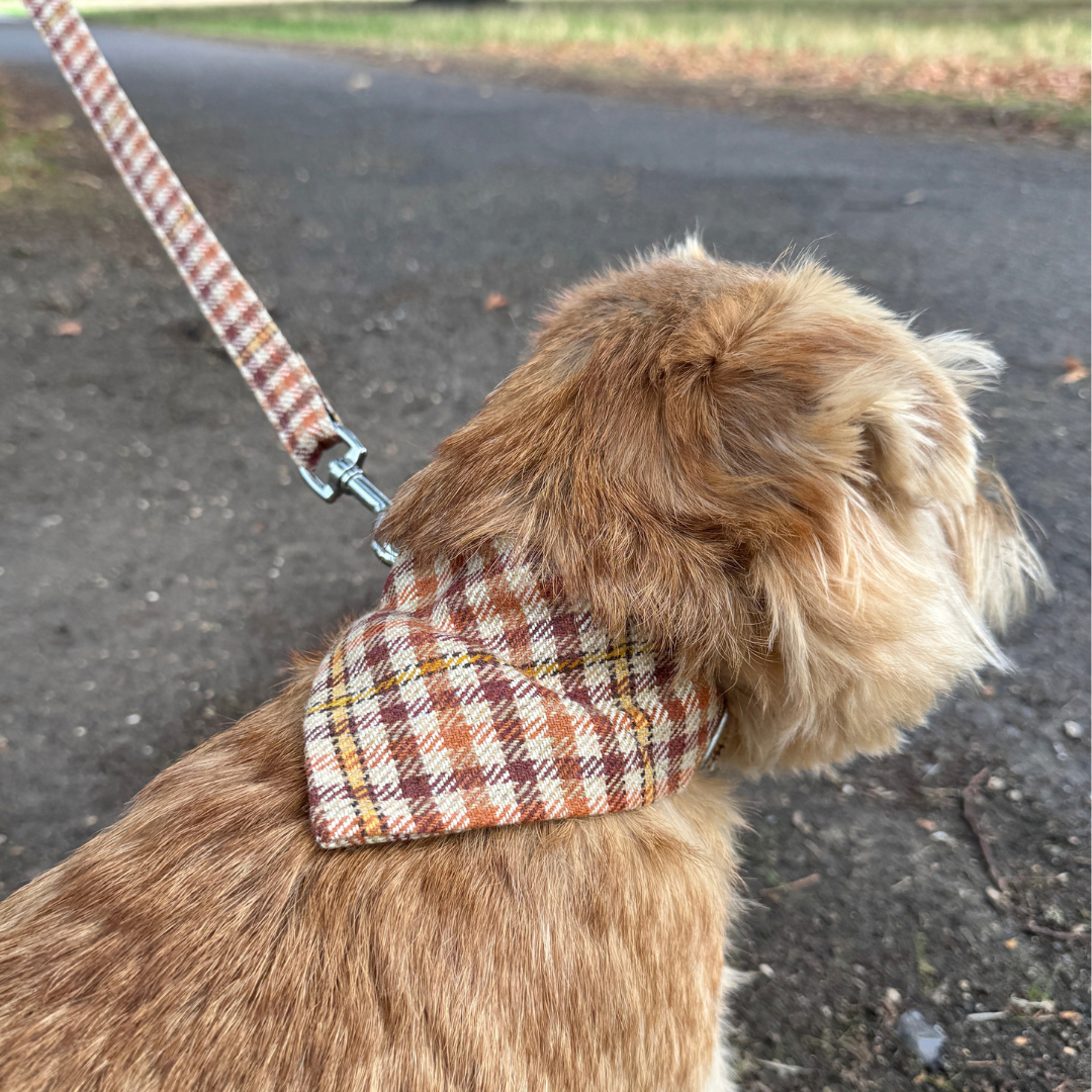 The Atholl Design - Luxury Dog Lead - Glenlyon Collection