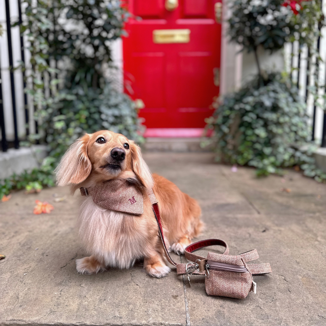 The Tummel Design - Collar, Lead & Bow Tie Bundle - Glenlyon Collection
