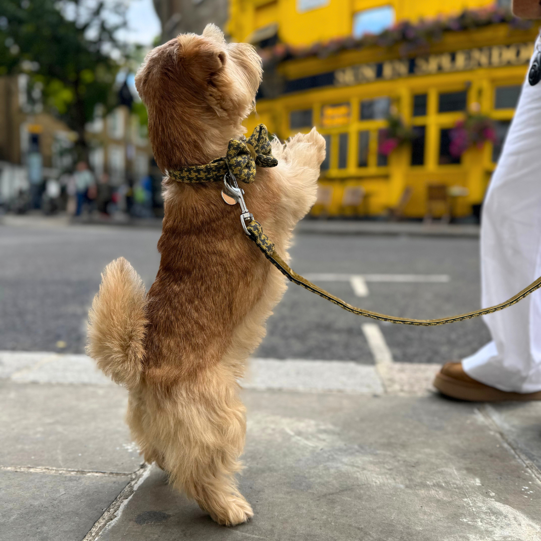 Richmond - Bespoke Gift Hamper