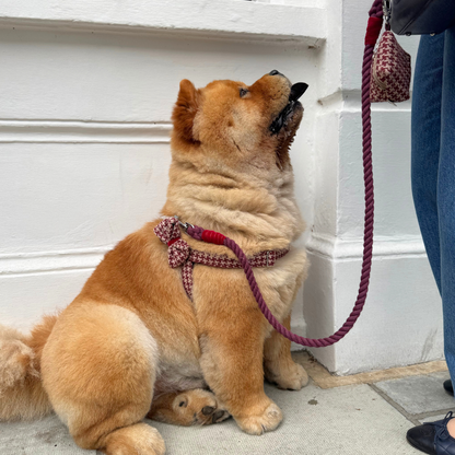 Knightsbridge - Houndstooth '25 Collection - Luxury Dog Harness