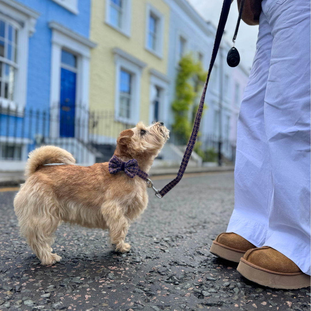 Kensington - Bespoke Gift Hamper
