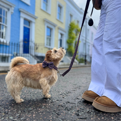Kensington - Bespoke Gift Hamper