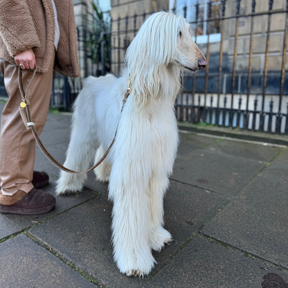 Cocoon - Bespoke Gift Hamper