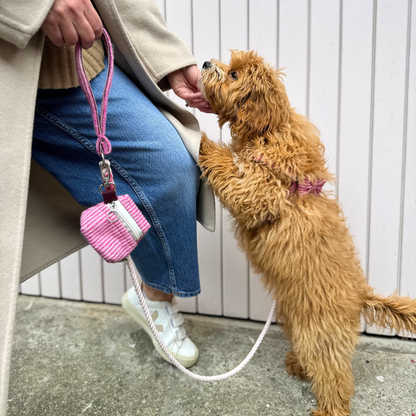 Sugarplum - Tutti Collection - Rope Dog Lead