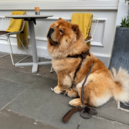 Bran - Bespoke Gift Hamper