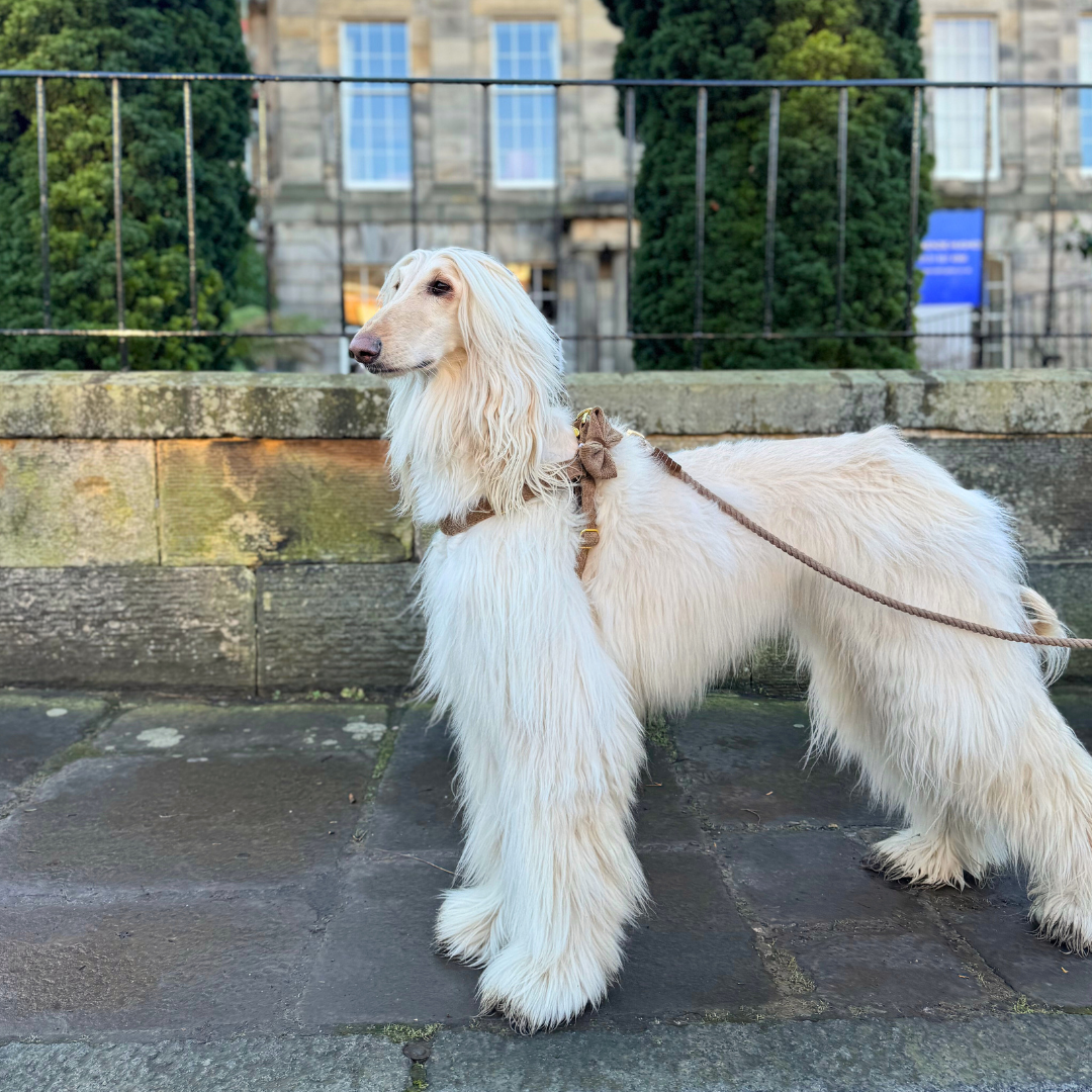 Cocoon - Bespoke Gift Hamper