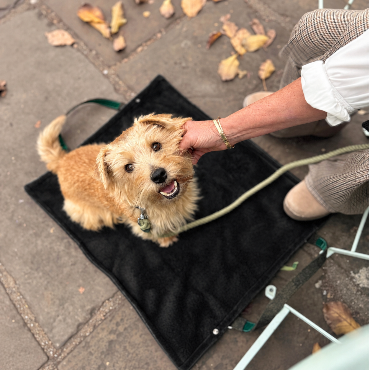 The Kenmore Design - Rope Dog Lead - Glenlyon Collection