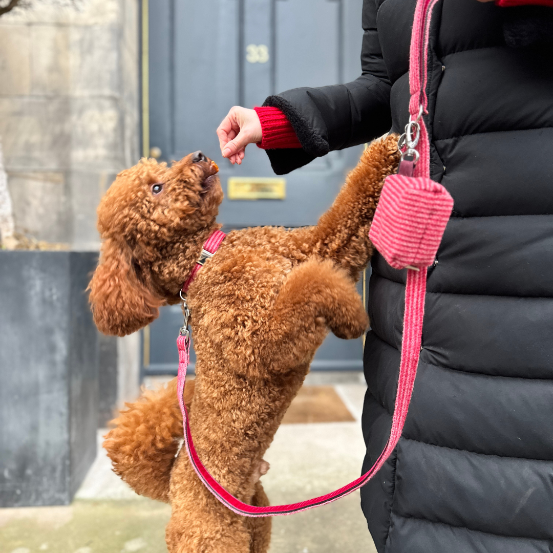 A Bond Like No Other - Treat Pouch