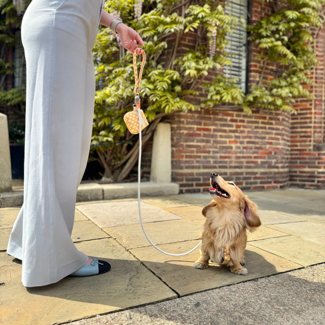 Marigold - Polkadot Collection - Luxury Dog Harness