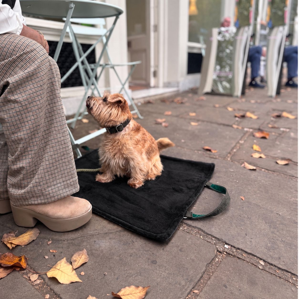 The Kenmore Design - Luxury Travel Mat - Glenlyon Collection