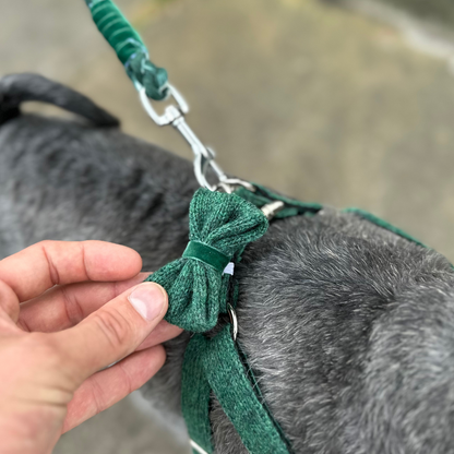 Clover Leaf - Autumn/Winter '23 Collection - Luxury Dog Harness