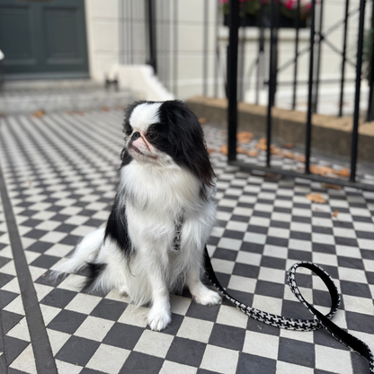 Soho - Houndstooth '25 Collection - Luxury Dog Harness