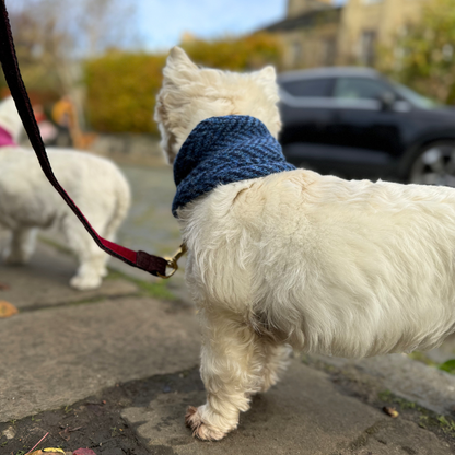 Cobalt - Dog Snood
