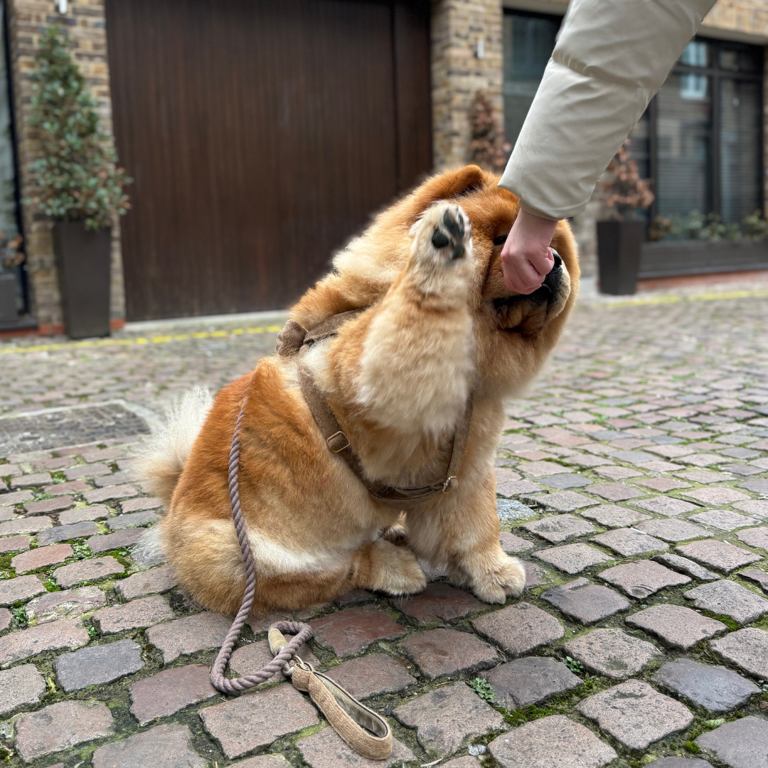 Cocoon - Bespoke Gift Hamper