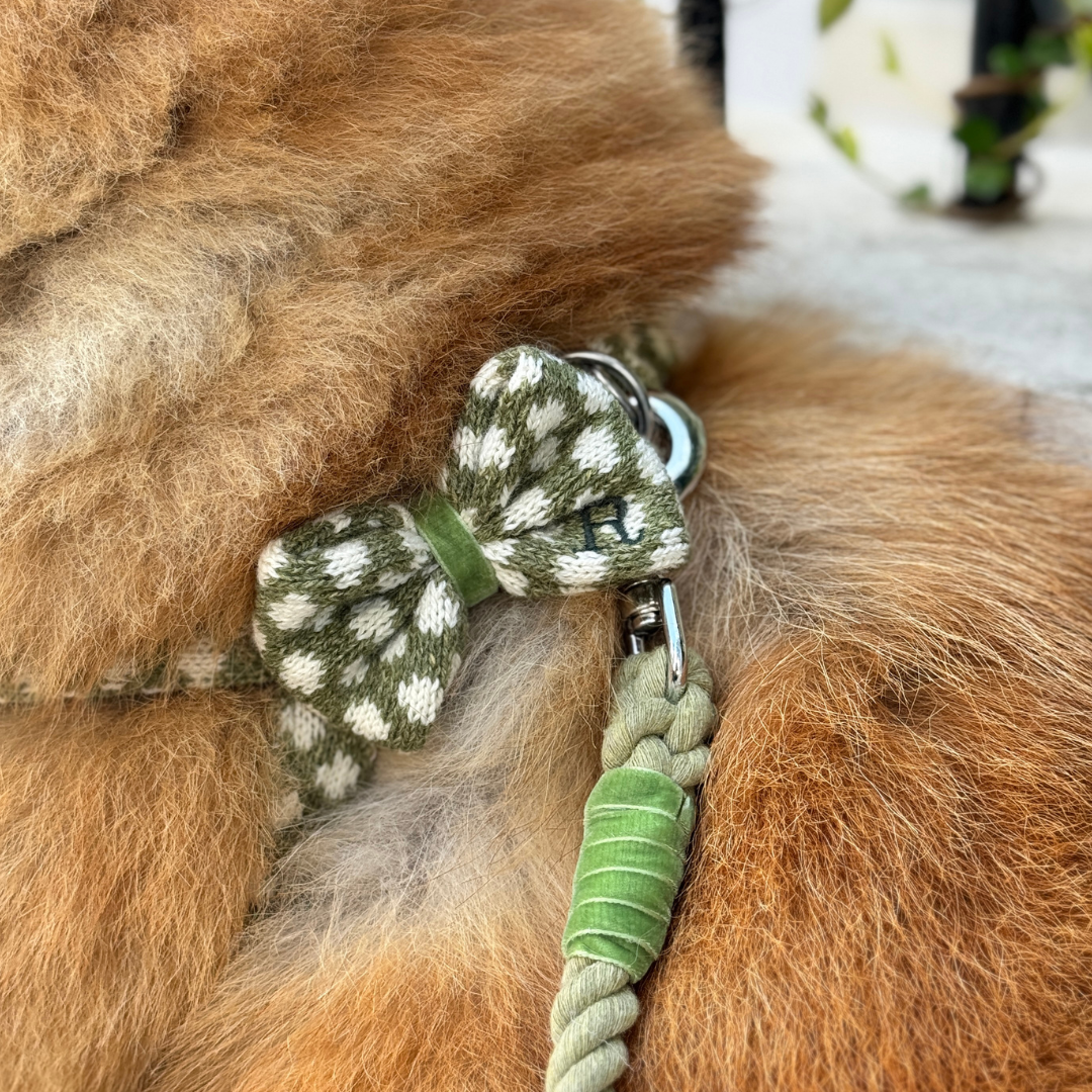 Fern - Polkadot Collection - Dog Bow Tie
