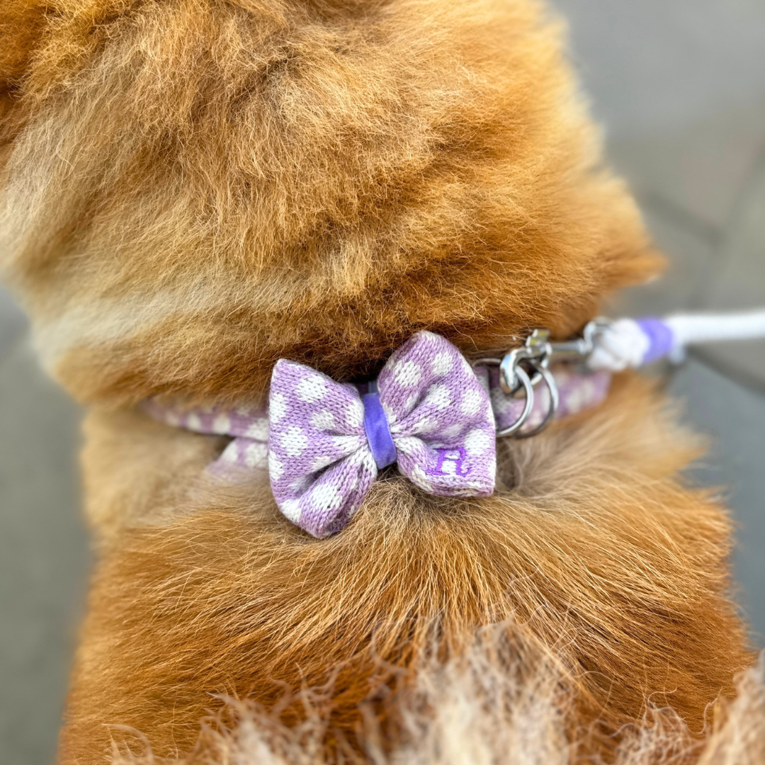 Lavender - Polkadot Collection - Luxury Dog Harness