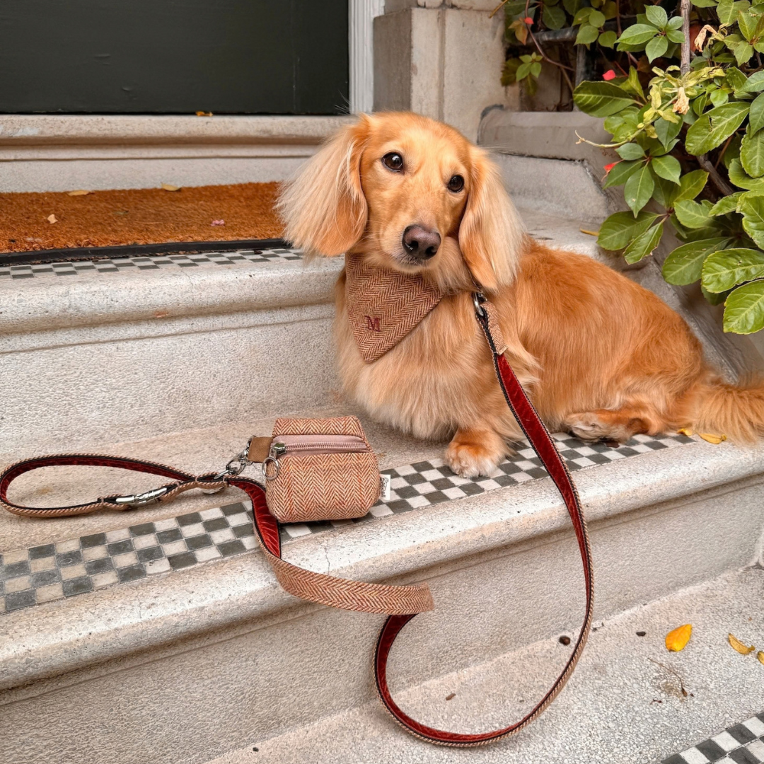 The Tummel Design - Luxury Dog Lead - Glenlyon Collection