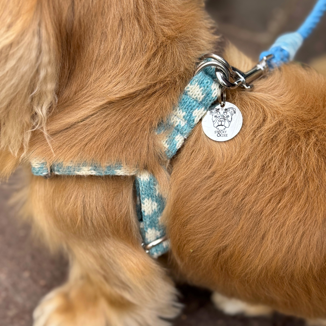 Bluebell - Polkadot Collection - Luxury Dog Harness