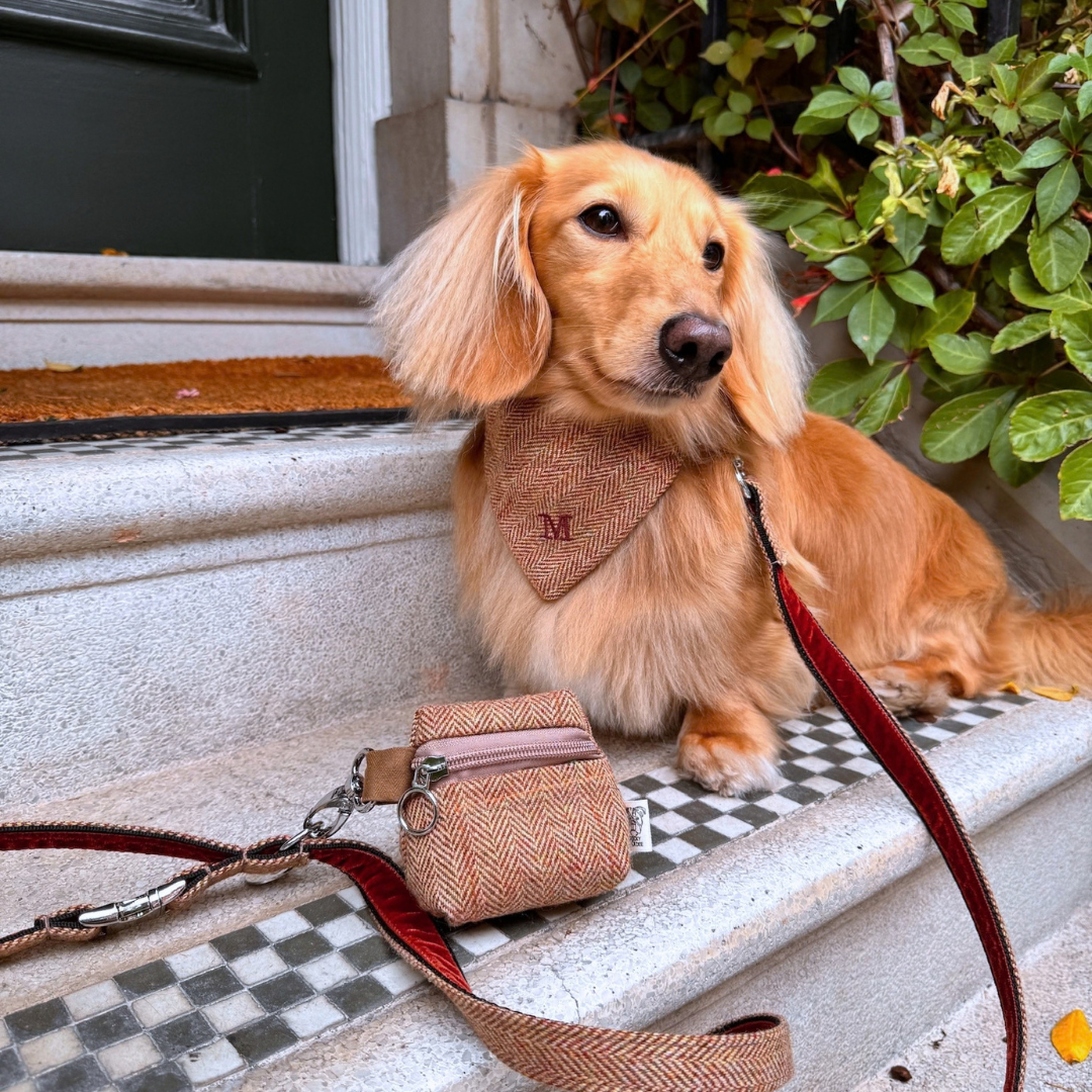 The Tummel Design - Collar, Lead & Bow Tie Bundle - Glenlyon Collection