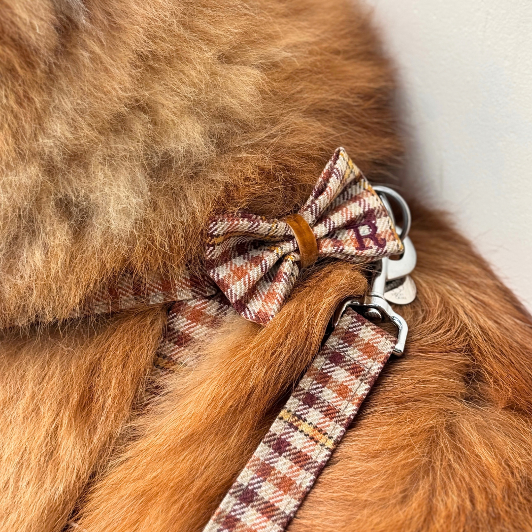 The Atholl Design - Luxury Dog Harness - Glenlyon Collection