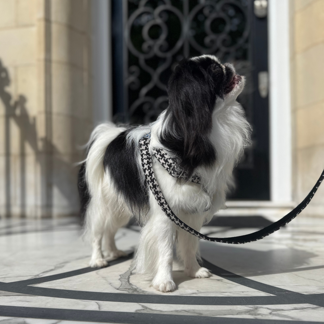 Soho - Houndstooth '25 Collection - Luxury Dog Harness