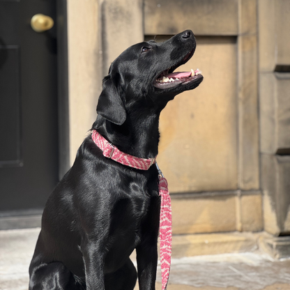 Redcurrant - SS25 Collection - Luxury Dog Lead