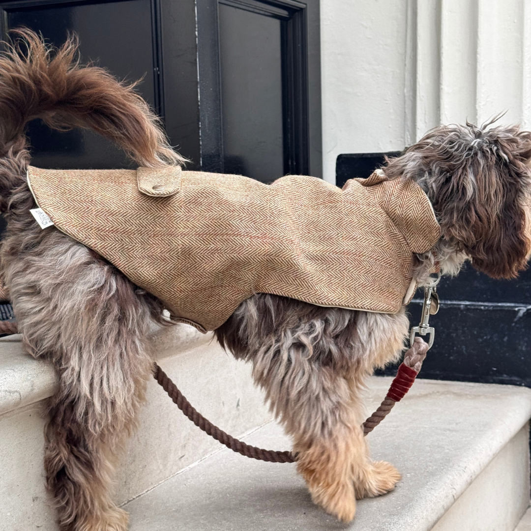 The Tummel Design - Dog Coat - Glenlyon Collection