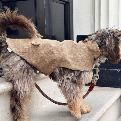The Tummel Design - Dog Coat - Glenlyon Collection