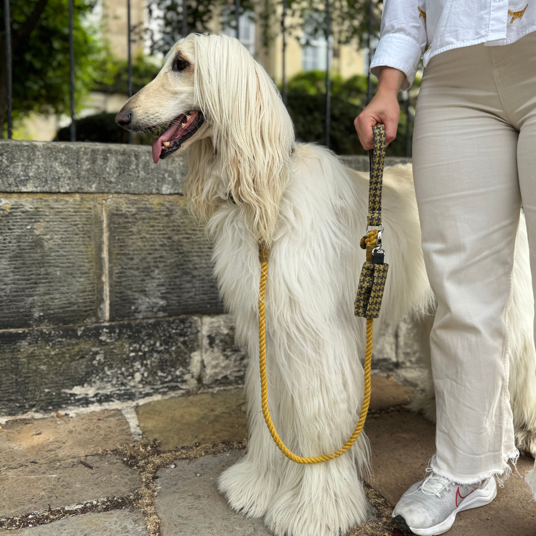 Richmond - Houndstooth '25 Collection - Rope Dog Lead