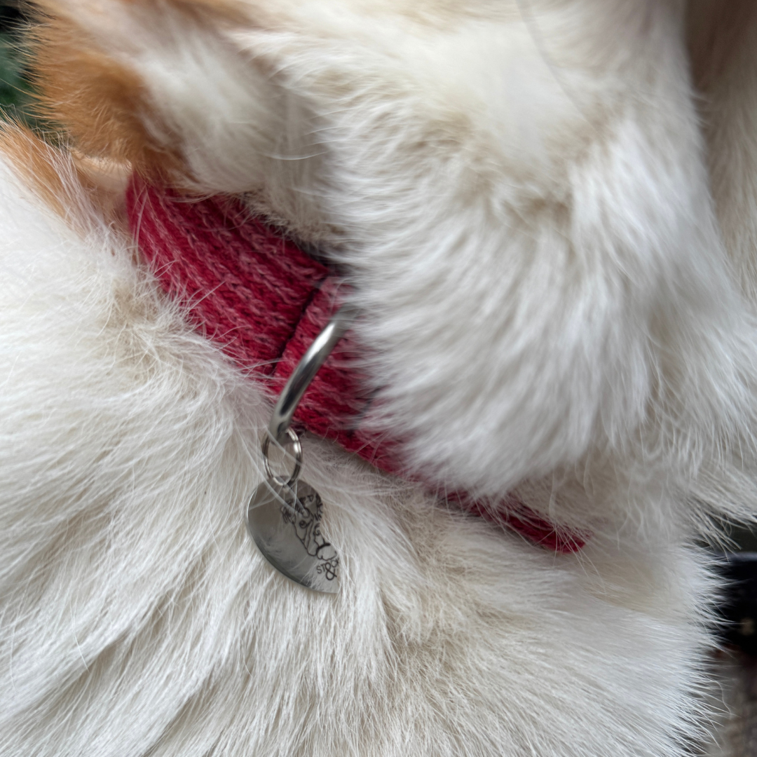 A Bond Like No Other - Luxury Dog Collar & Key Ring