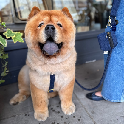 Midnight - Holly Collection - Treat Pouch