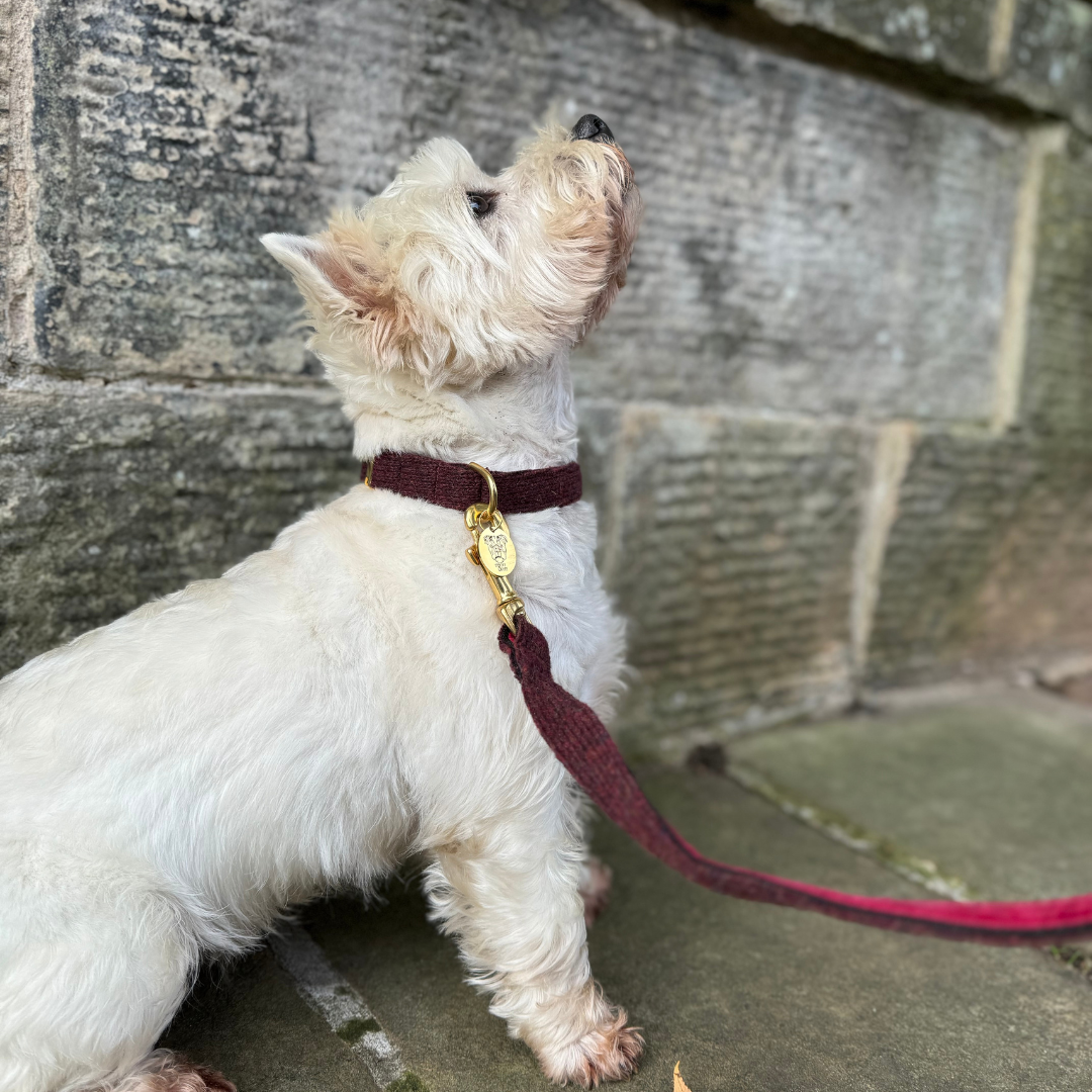 Burgundy - The Holly Collection - Collar, Lead & Bow Tie Set