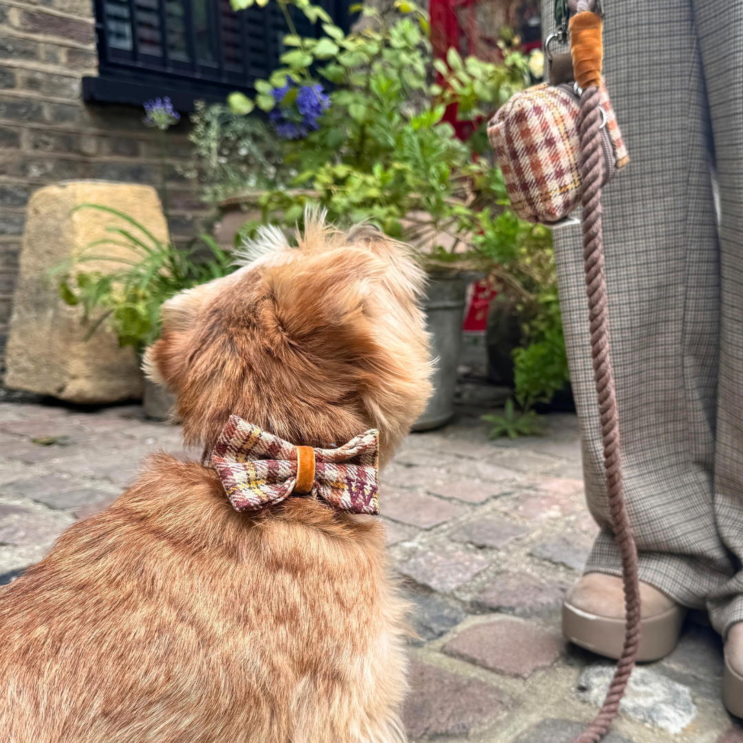 The Atholl Design - Collar, Lead & Bow Tie Bundle - Glenlyon Collection