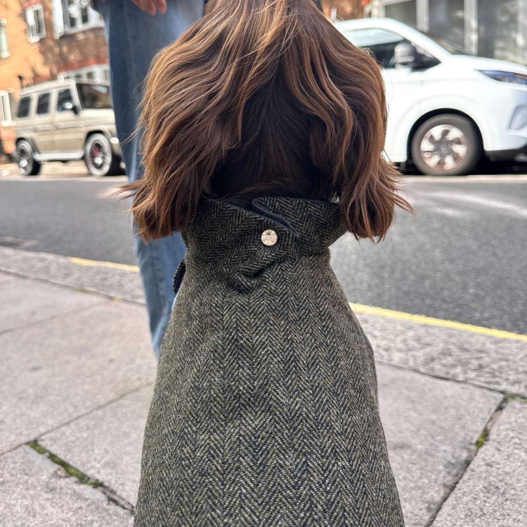The Kenmore Design - Dog Coat - Glenlyon Collection