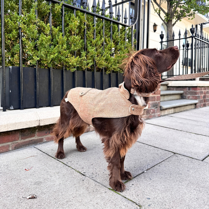The Tummel Design - Dog Coat - Glenlyon Collection