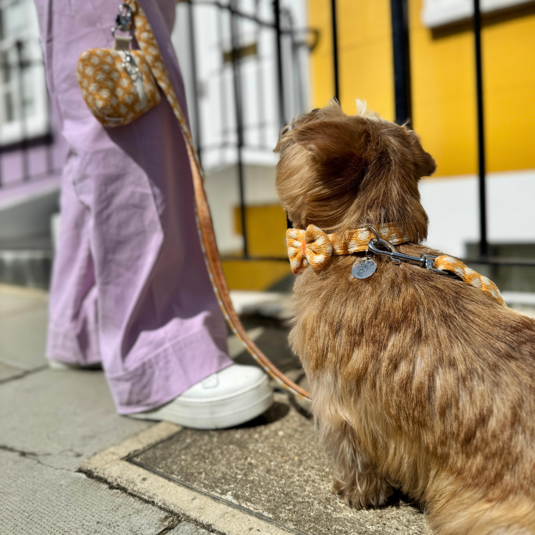 Marigold - Polkadot Collection - Luxury Dog Collar