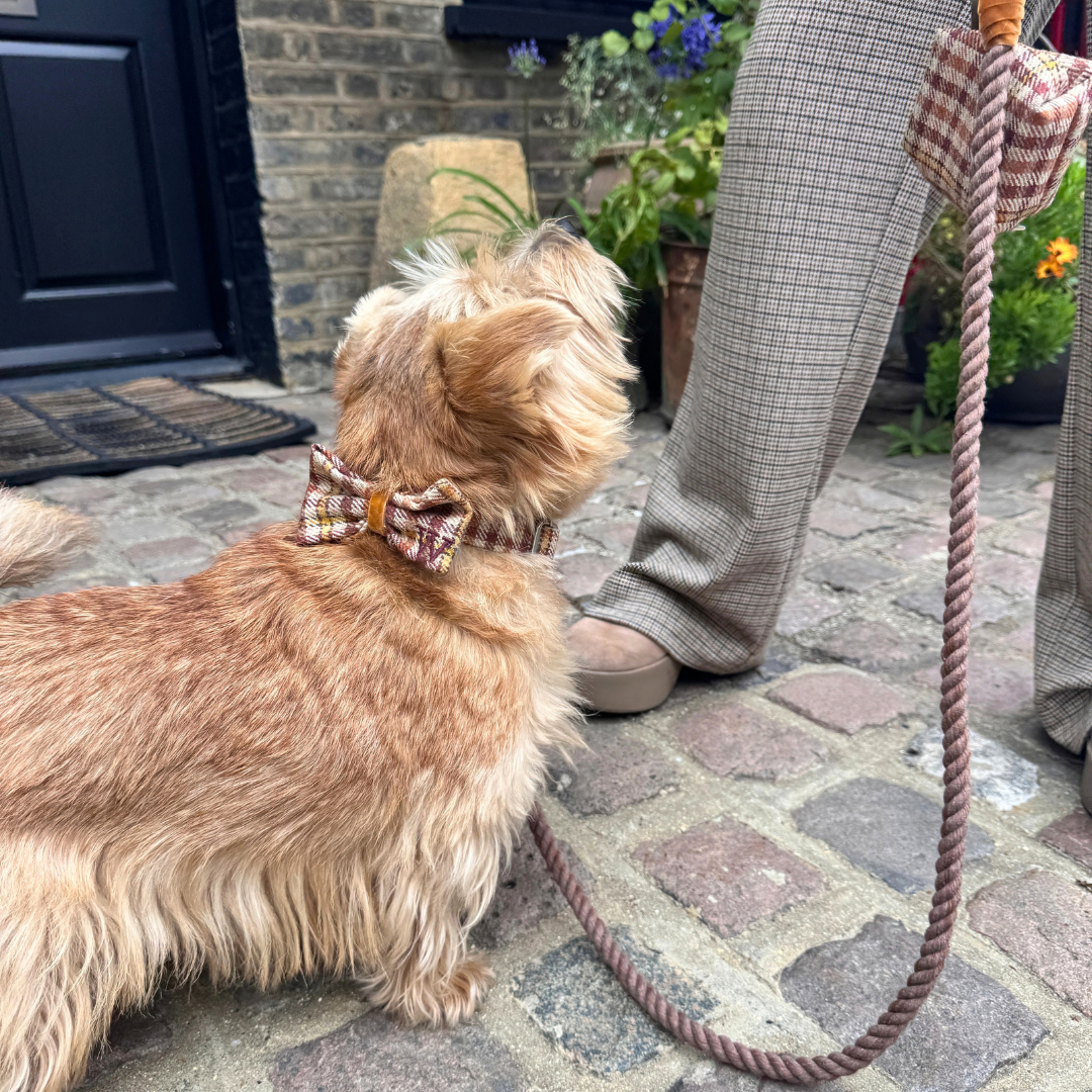 The Atholl Design - Rope Dog Lead - Glenlyon Collection