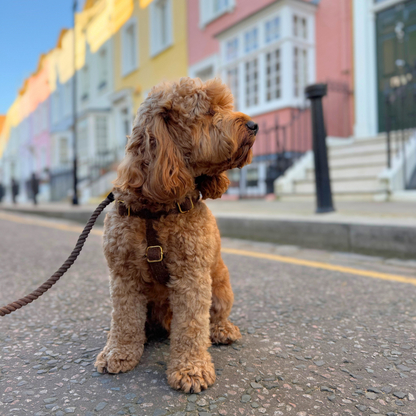 Bran - Bespoke Gift Hamper