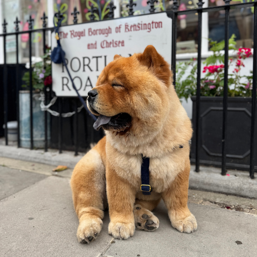 Midnight - Bespoke Gift Hamper