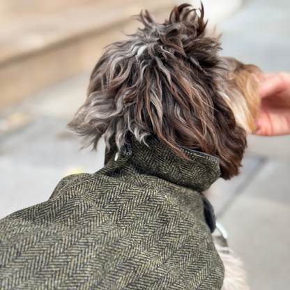 The Kenmore Design - Dog Coat - Glenlyon Collection