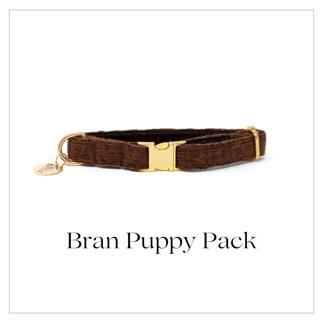 Bran - Debonair Collection - Puppy Pack
