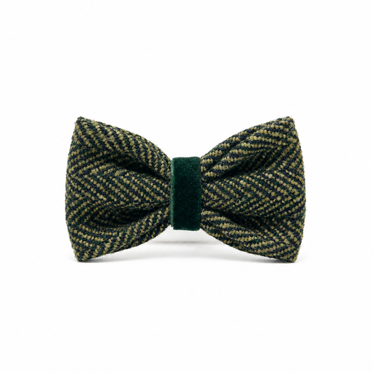 The Kenmore Design - Dog Bow Tie - Glenlyon Collection
